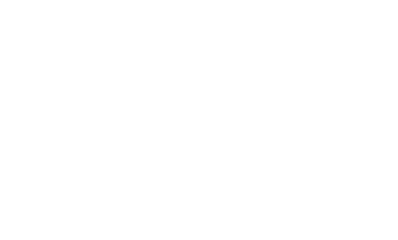 Perpetual Investment Advisors